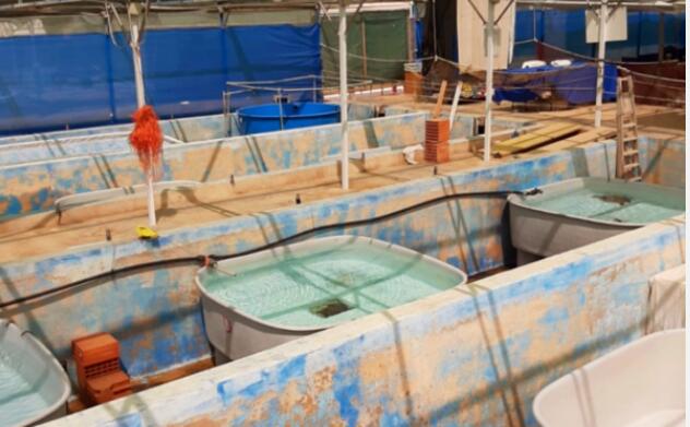 20220605104245575.jpg 20220605104245575.jpg