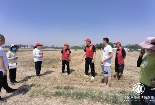 商丘市梁园区烟草局：服务三夏丰收季  暖暖“志愿”见真情