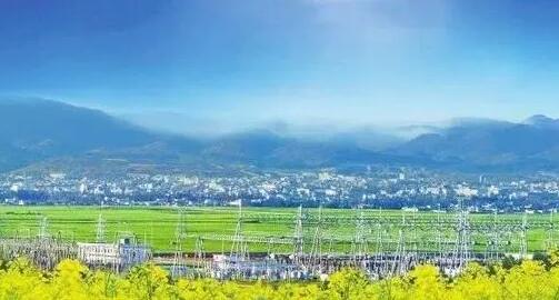 国家能源集团打出组合拳为乡村振兴插上腾飞之翼