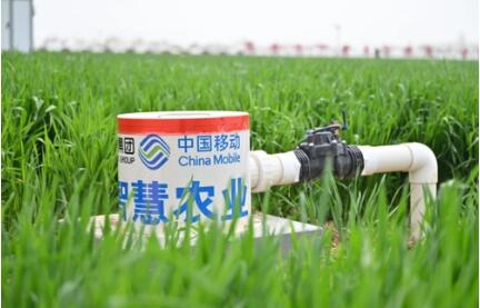 中国移动：将绿色低碳发展理念贯穿生产经营各环节