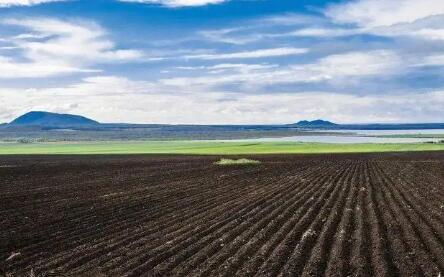 保护黑土地就是保护每个人的饭碗