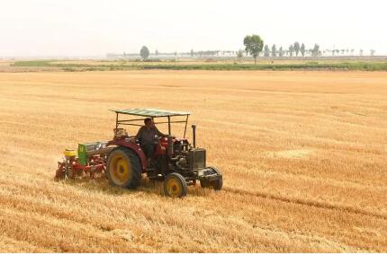 全国夏播粮食播种已过八成 春播粮食田间管理陆续展开