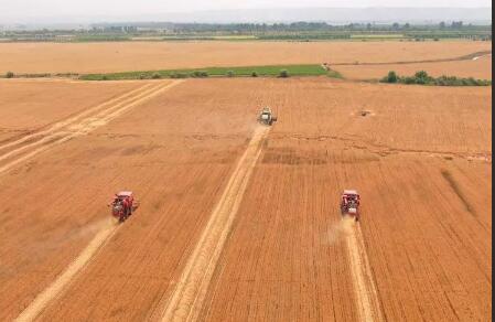 来之不易的好收成 ——三晋大地稳粮夺丰收新观察