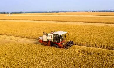 安徽省夏粮丰收 总产量超344亿斤