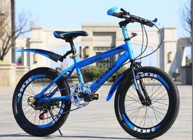 摆脱低端竞争 国产青少年自行车发力高端