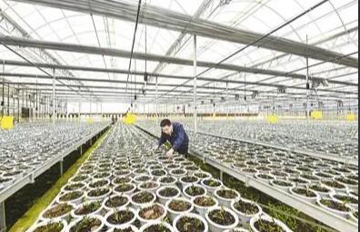 国家中医药管理局：中医药发展全方位步入法治化轨道