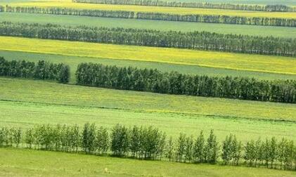 国家林草局完成三北五期工程全面评估