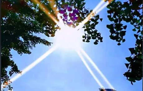 中国气象局：冰川在消融植物发芽提早 我国气温呈显著上升