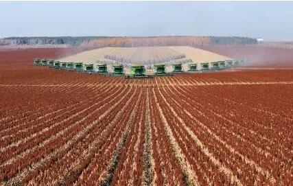 今年秋粮播种面积有所增加 稳定全年粮食生产有较好基础