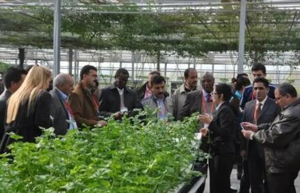 “一带一路”倡议助力沿线国家农业合作