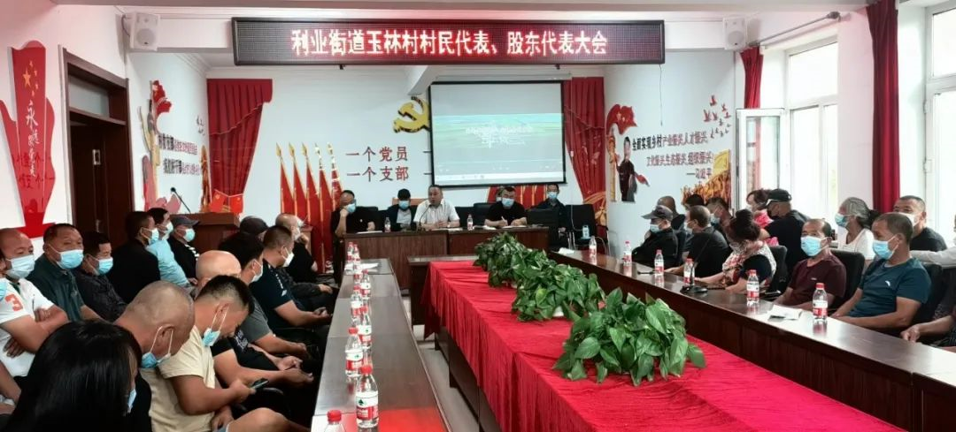 黑龙江哈尔滨玉林村打造全省“碳中和”示范村，扎实推进产业振兴