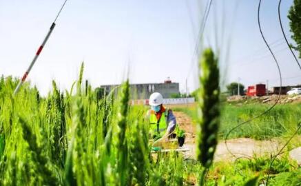 “万亩良田”掌中握 中国电信数字助力乡村建设