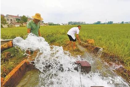 辟水源稳供电推技术 部分粮食产区抗旱保丰收