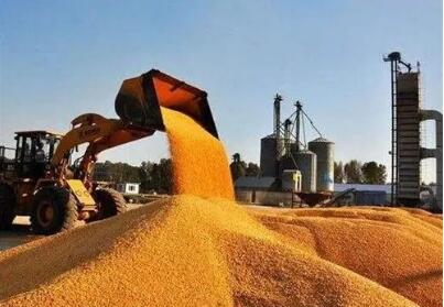 多部门联合印发通知要求：切实做好2022年秋粮收购