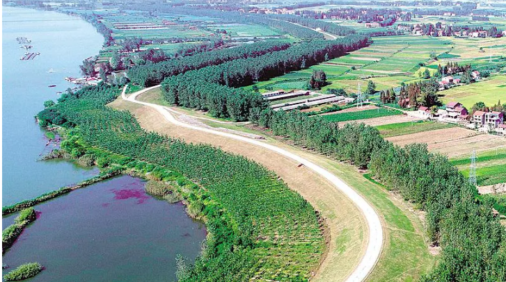 今年以来长江经济带11省市已完成造林1546万亩