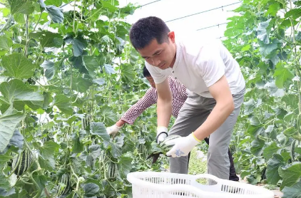 如何让“新农人”成为择业热门