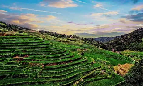 福建生态保护财力转移支付年均增长15.8%