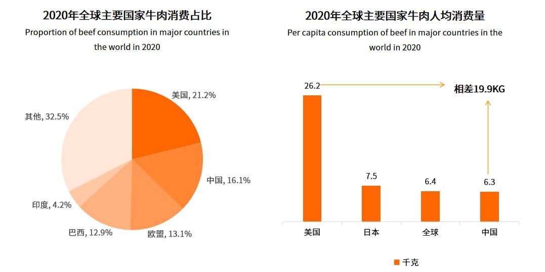 技术赋能预制菜高质量发展，牛肉类预制菜正悄然崛起