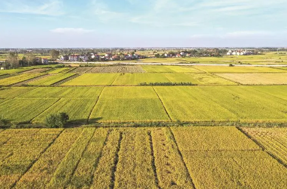 湖北计划3年建成300个现代农业基地