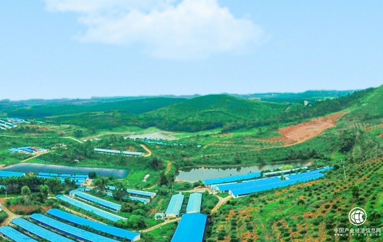 背后的力量 | 华云数据助力壹号食品加快数字化转型 为畜牧业发展注入新动能