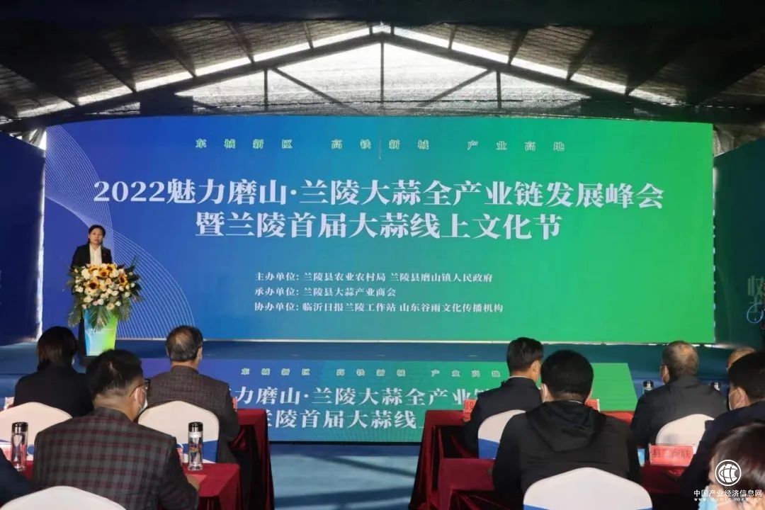 兰陵大蒜文化节展磨山魅力，聚焦苍山大蒜产业发展成果