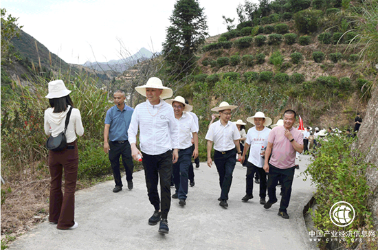 振兴茶产业 媒体来助力 | 厦门市安溪商会组织媒体记者走进安溪茶乡