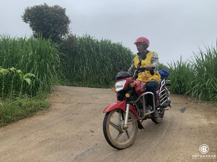 穿行在云雾山中的云PK7789