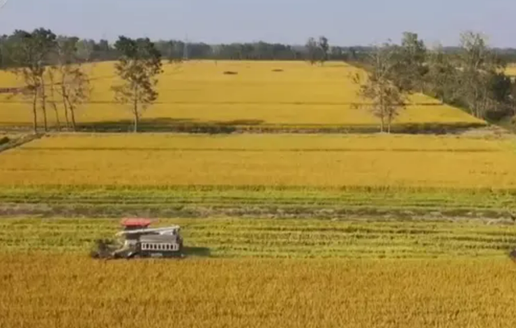 各地加速推进秋收 秋冬种同步展开