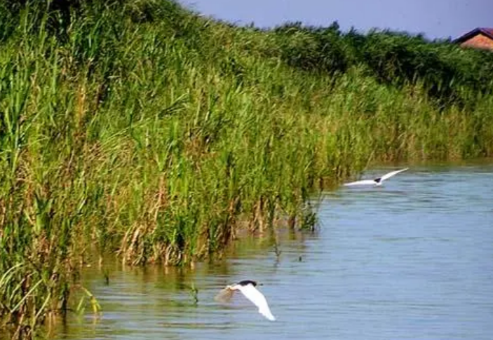 湖南湿地保护修复“十四五”专项规划发布