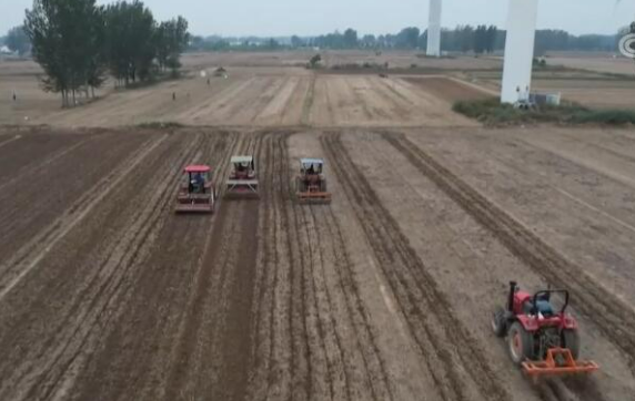 全国秋粮收获超八成 秋冬种同步进行