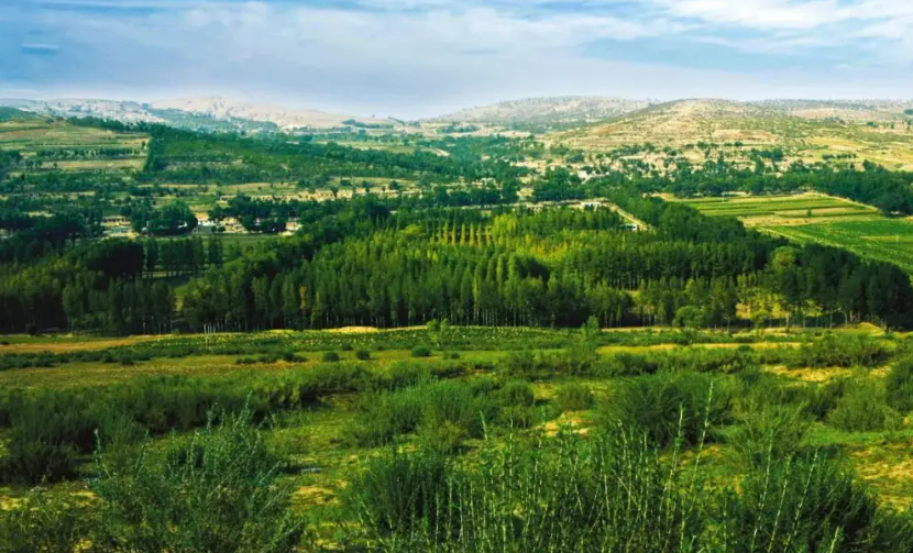 三北工程启动20个科学绿化试点县建设