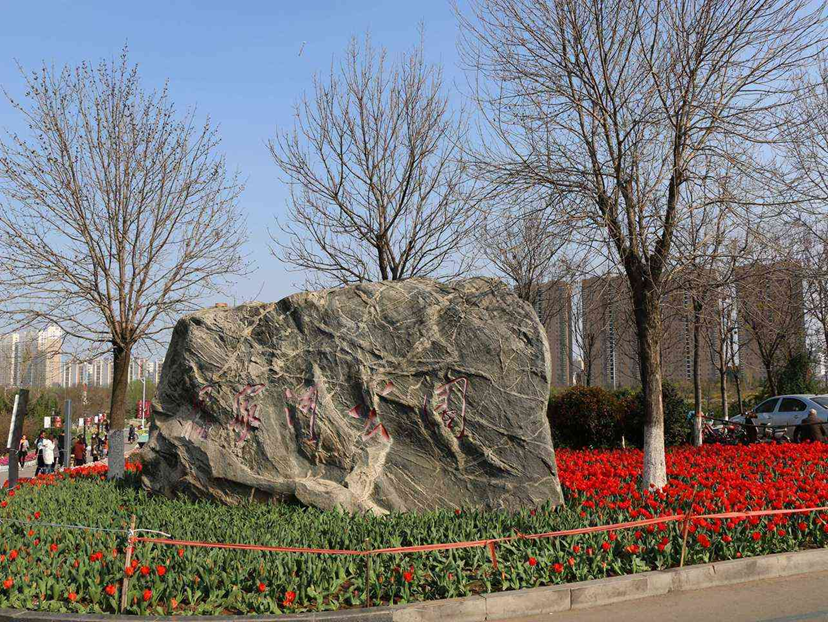 发挥联动机制    规范审批程序