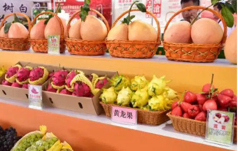 综述：RCEP助力东盟国家农产品出口中国