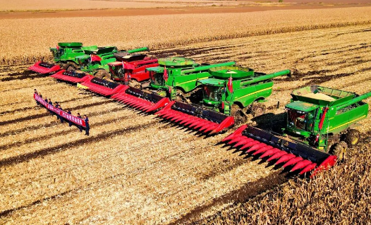 机械化助力秋粮颗粒归仓