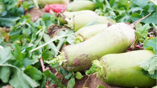 20221122164034597.png 微信图片_20221122163938.png