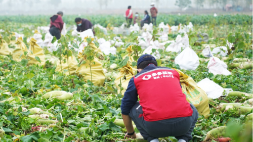 20221122164051939.png 微信图片_20221122163944.png