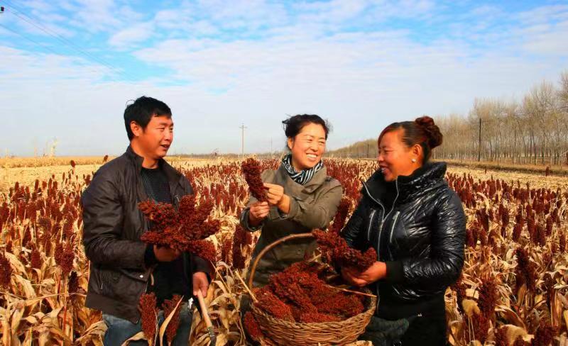 20221124161954231.jpg 20221124161954231.jpg