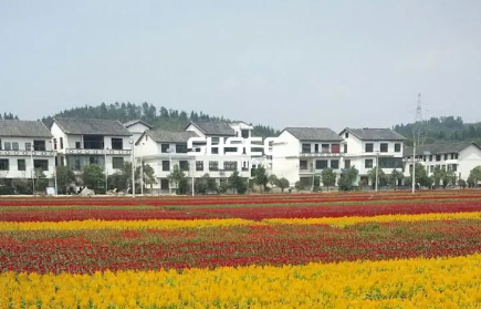 湖南：完成12项重点任务 建设宜居宜业和美乡村