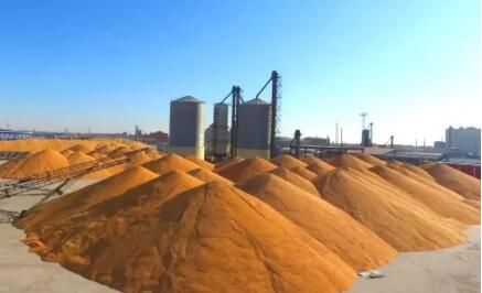 辽宁依托海陆大通道有力保障“北粮南运”