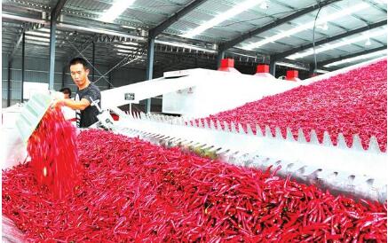 山西：产业帮扶，美了乡村富了农民