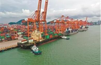 “大湾区组合港”进出口吞吐量今年已超19万标箱