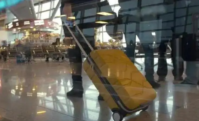 中国公民有序恢复出境旅游！全球多国发声