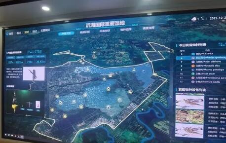 中国电信助力武汉首个“智慧湿地”建设项目升级完成