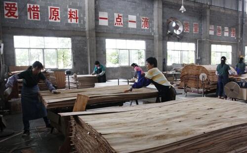 广西木竹加工和造纸年产值达3500亿元