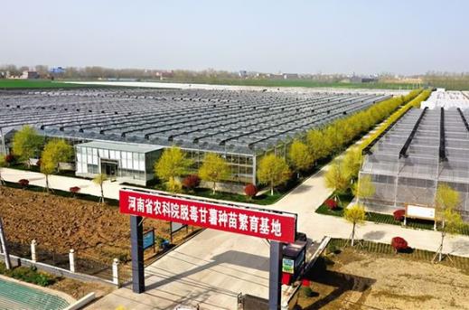 扛稳粮食安全责任 河南省这样建设农业高新技术产业示范区