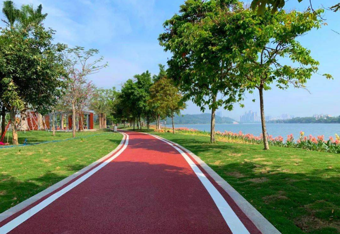 广东建成碧道逾5200公里 助力打造绿色水经济新业态