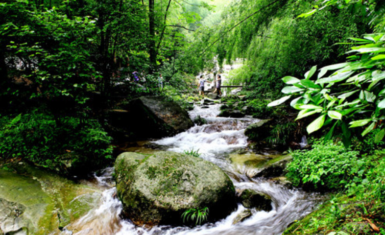 湖南生态旅游呈平稳复苏态势 去年实现综合收入1153.22亿元