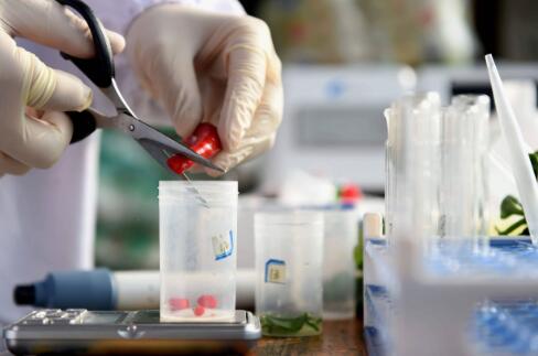 市场监管总局发布规范食品快速检测使用意见