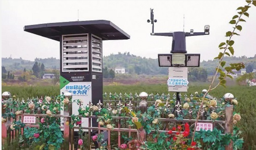 中国移动：赋能数字乡村建设 让美丽乡村焕发勃勃生机