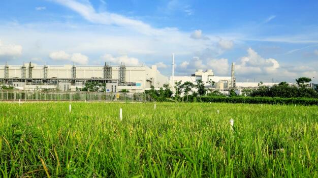 深耕湿地保护 中国节能为润泽美丽中国添彩